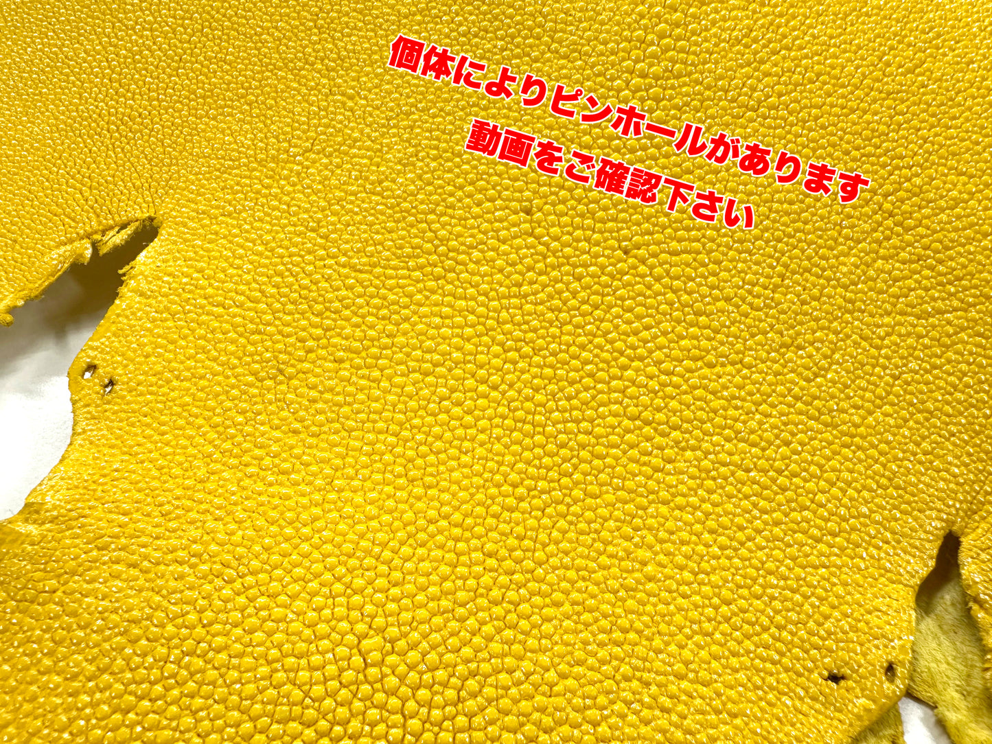 Stingray leather 9inch #2 Yellow