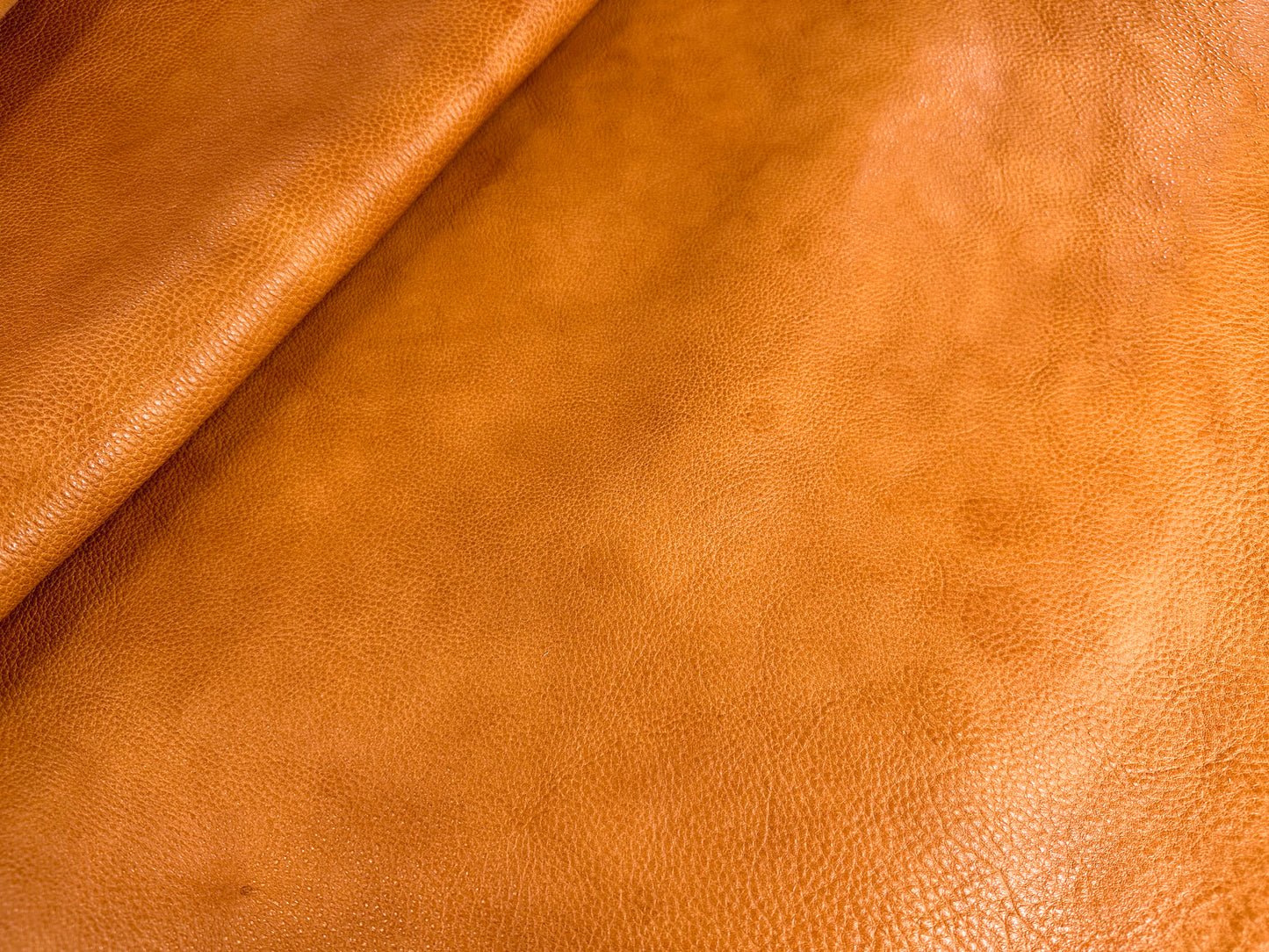 MW Vagitable Tanned Shrink Leather #1 Camel