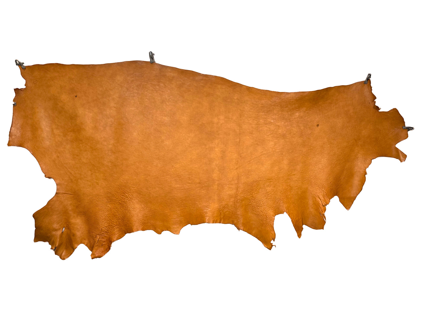 MW Vagitable Tanned Shrink Leather #1 Camel