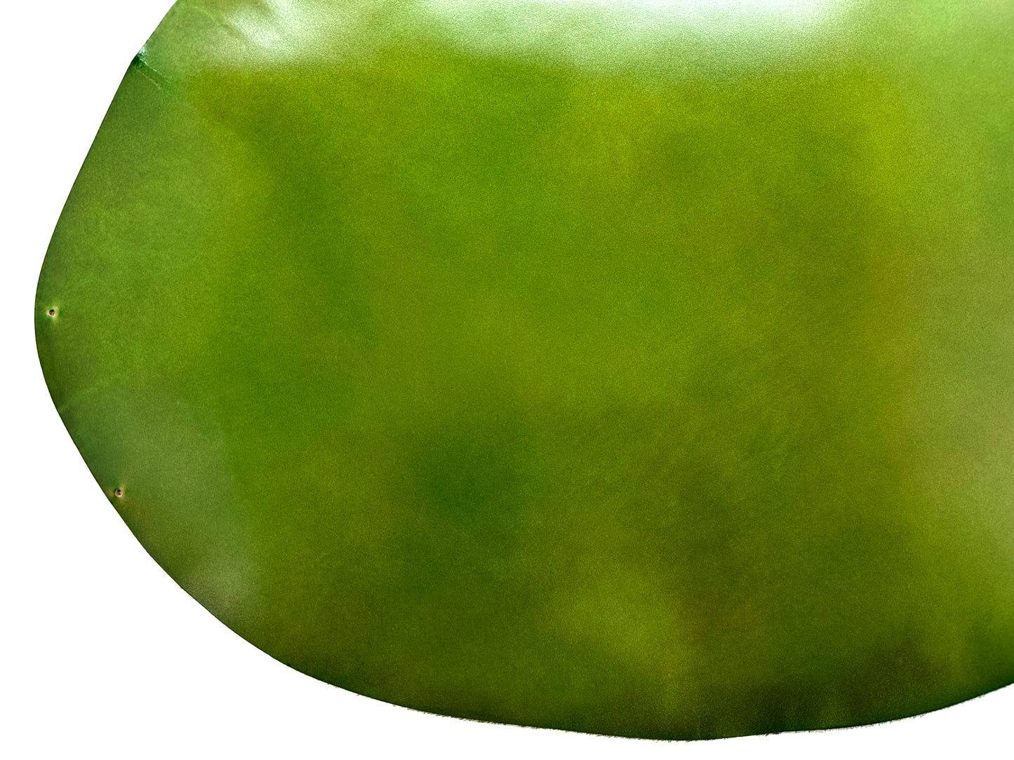 Aniline Cordovan #450 Apple Green