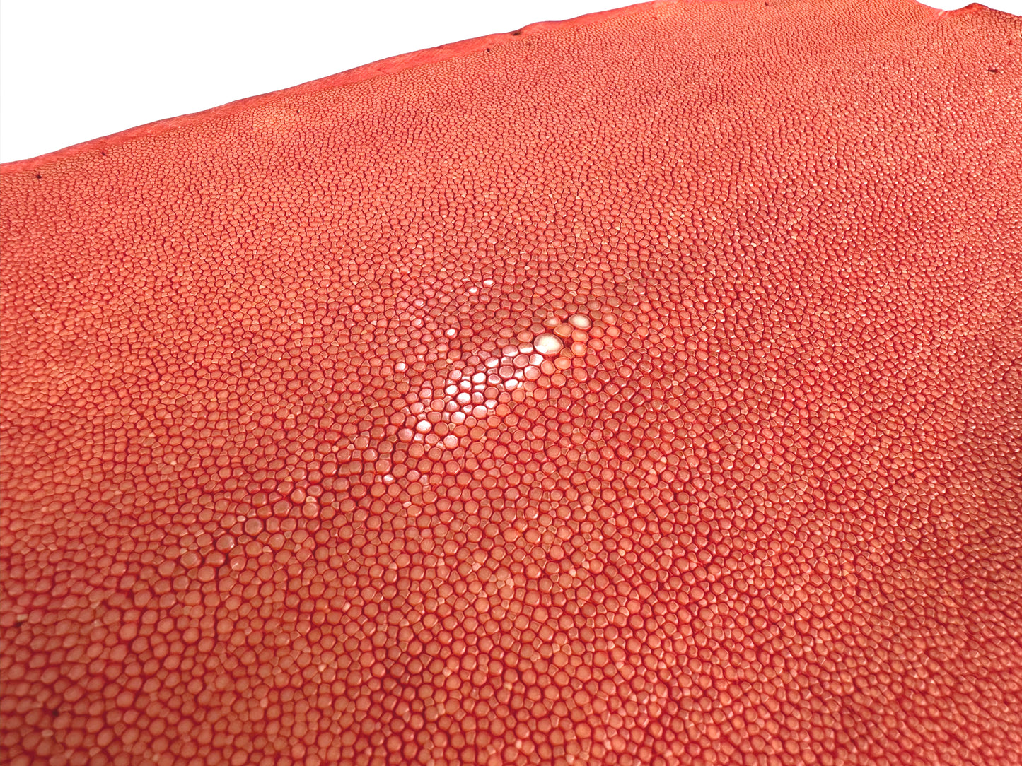 Stingray leather 9inch Ginsuri #5 Red