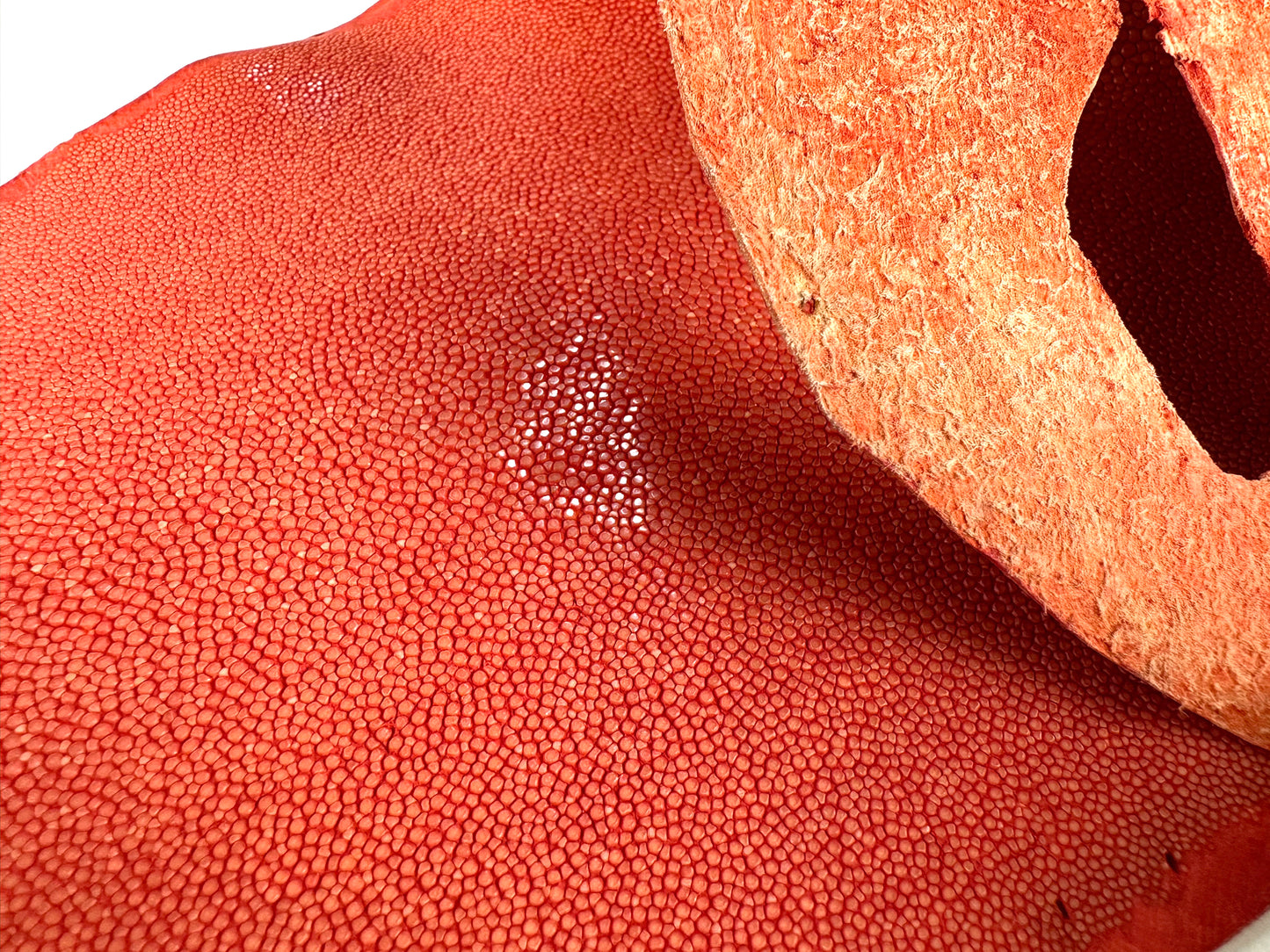 Stingray leather 9inch Ginsuri #5 Red