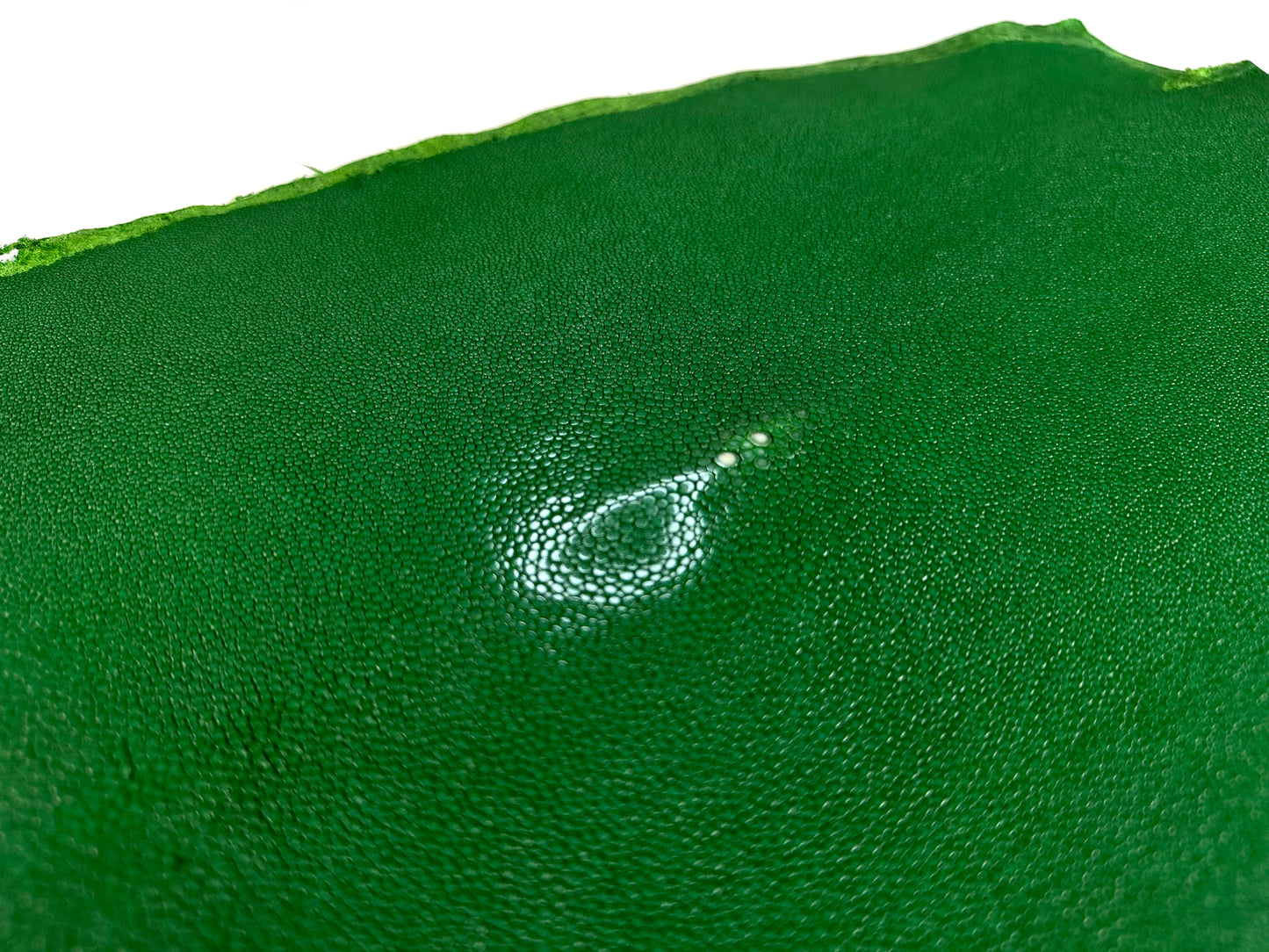 Stingray leather 9inch Ginsuri #11 Green