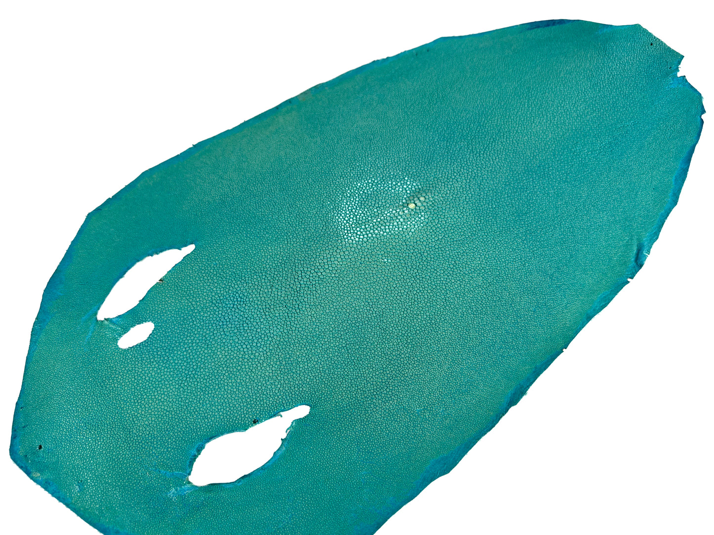 Stingray leather 9inch Ginsuri #13 Turquoise