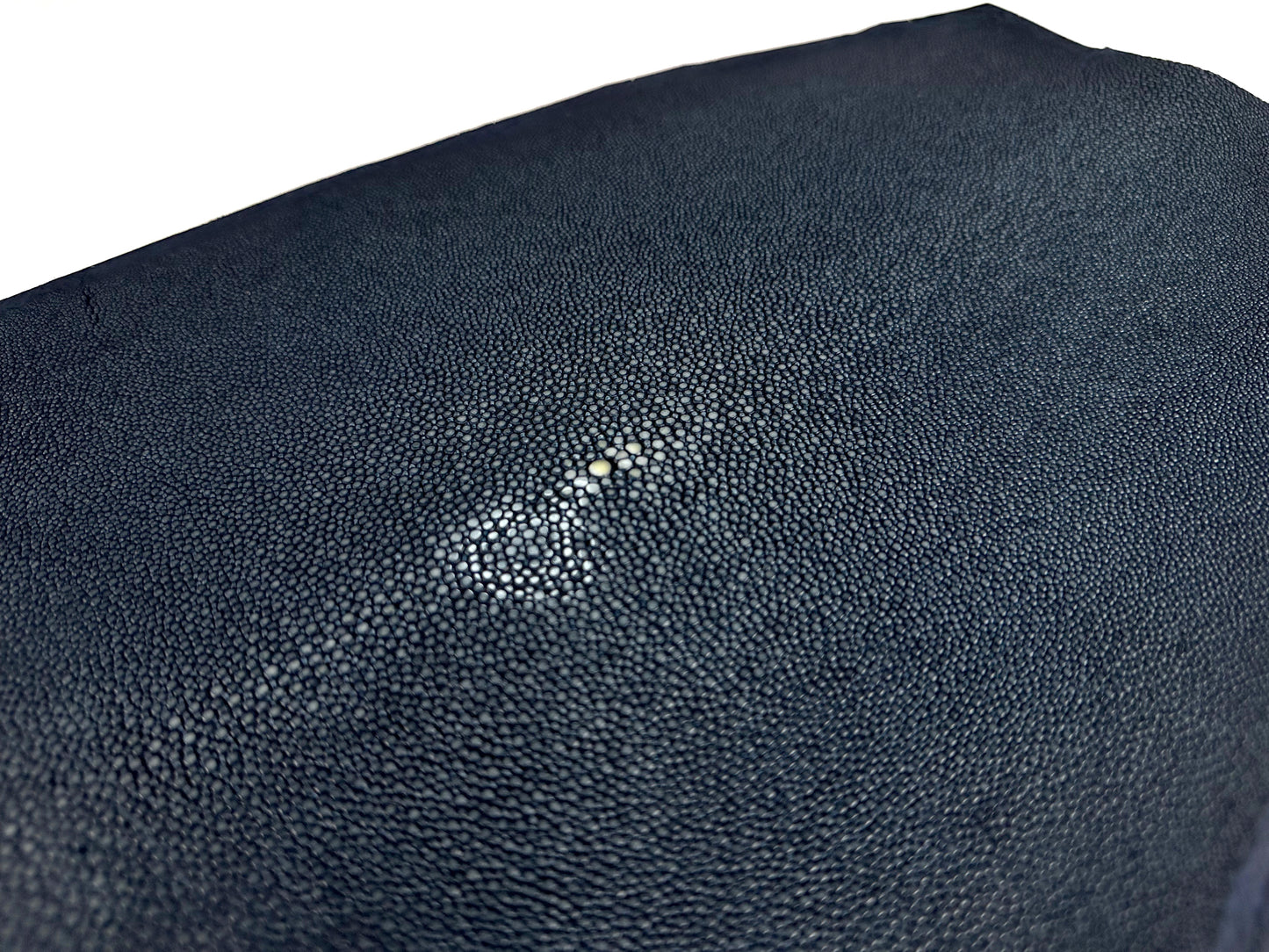 Stingray leather 9inch Ginsuri #14 Navy