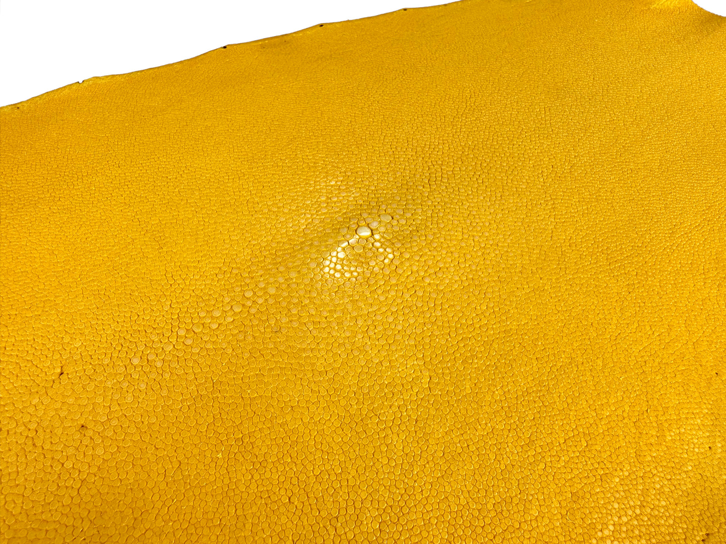 Stingray leather 9inch Ginsuri #2 Yellow