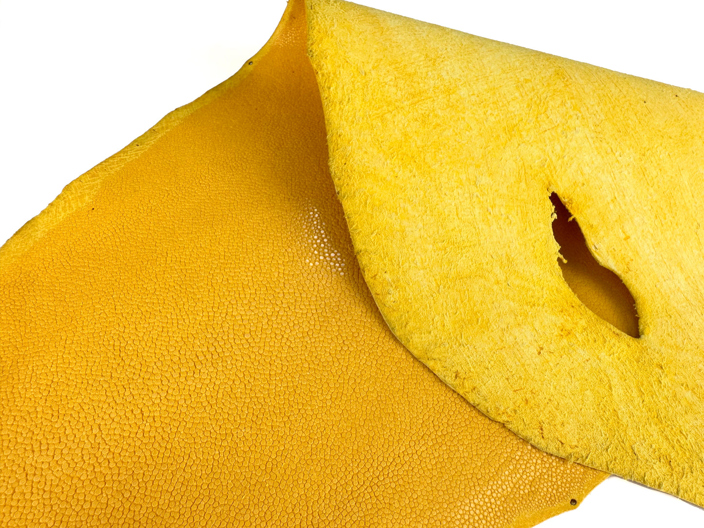Stingray leather 9inch Ginsuri #2 Yellow