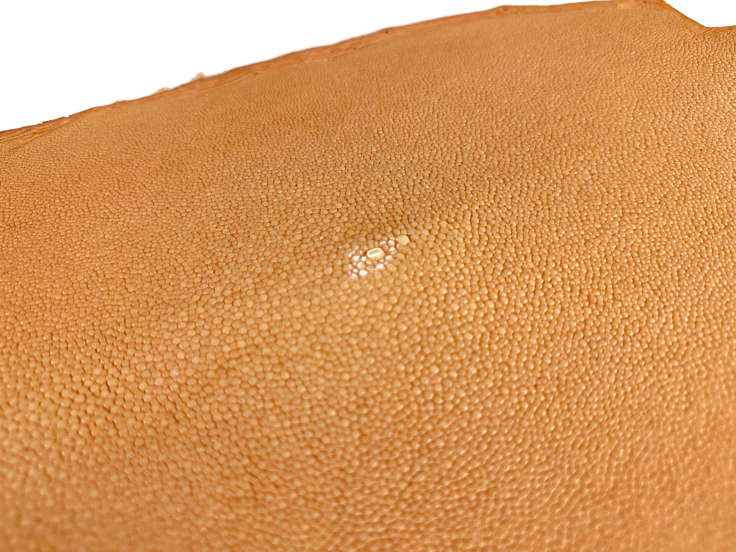 Stingray leather 9inch Ginsuri #3 Orange
