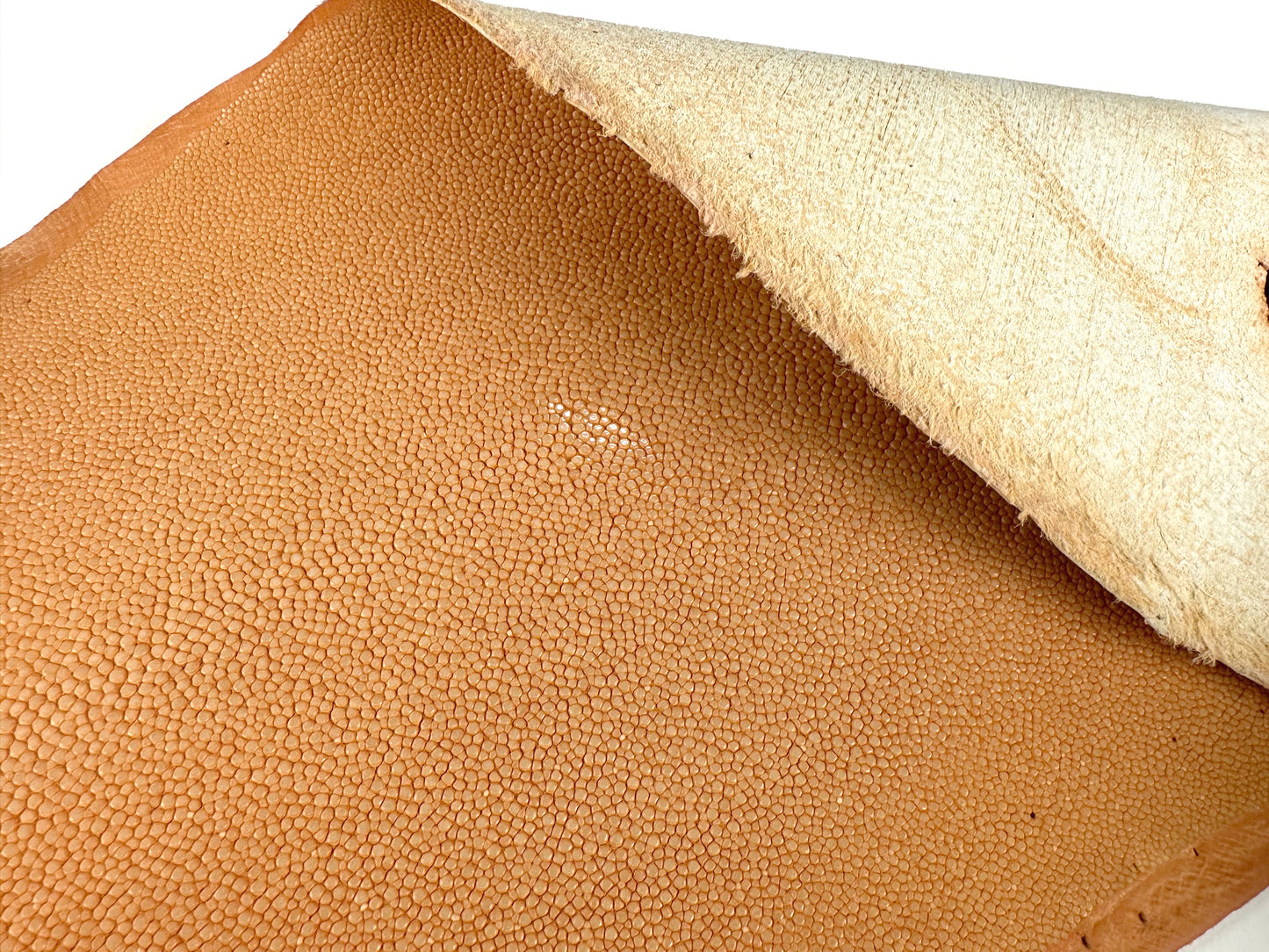 Stingray leather 9inch Ginsuri #3 Orange