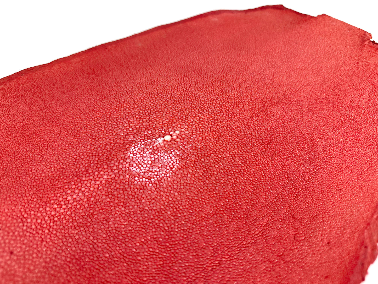 Stingray leather 9inch Ginsuri #5 Red