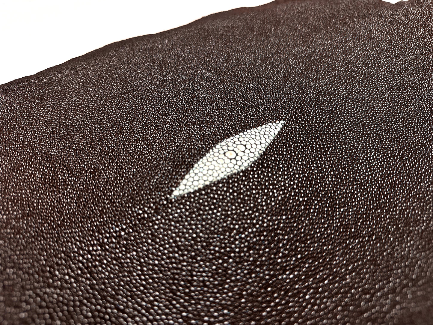 Stingray leather 9inch #10 Dark Brown