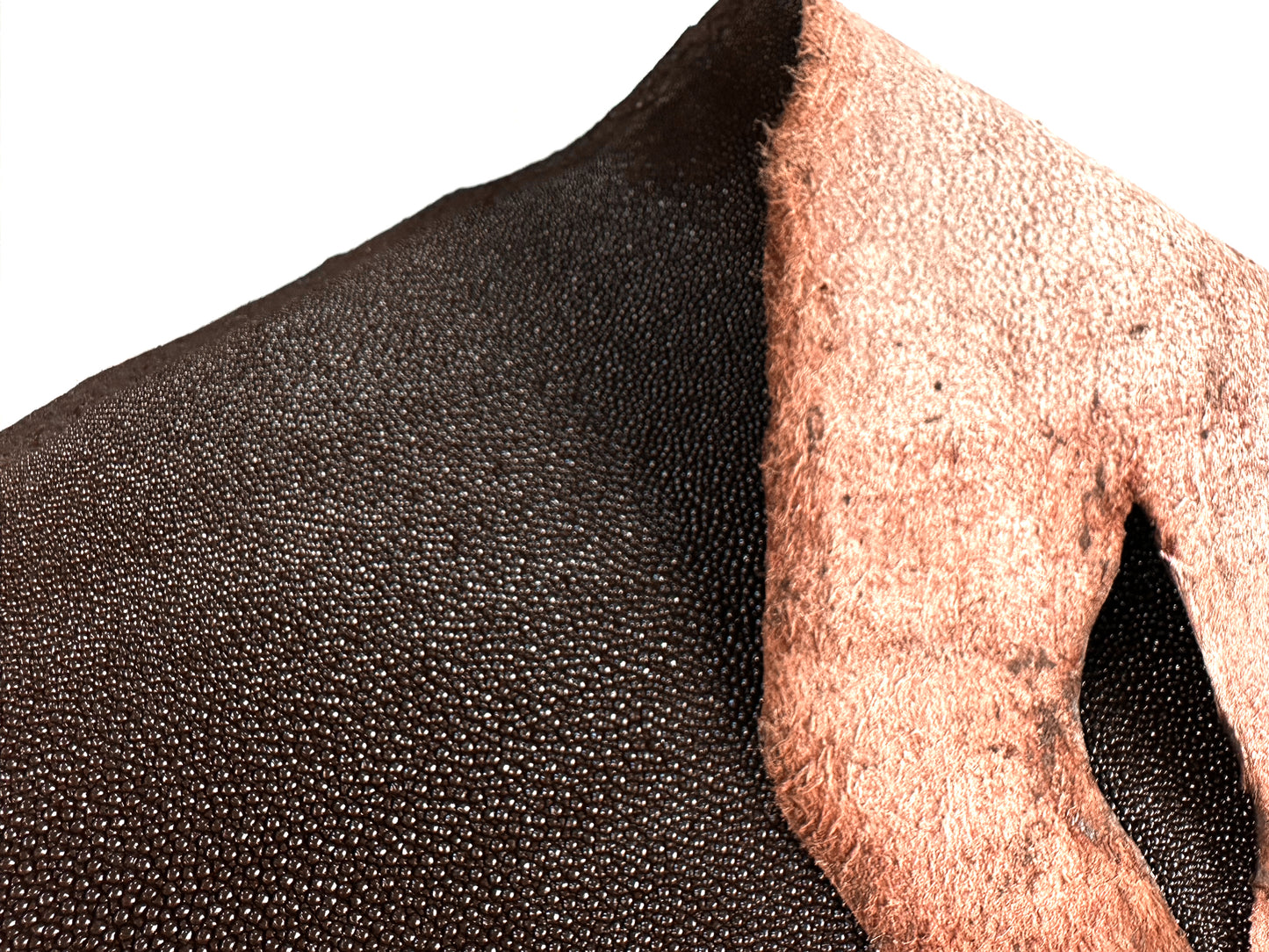 Stingray leather 9inch #10 Dark Brown