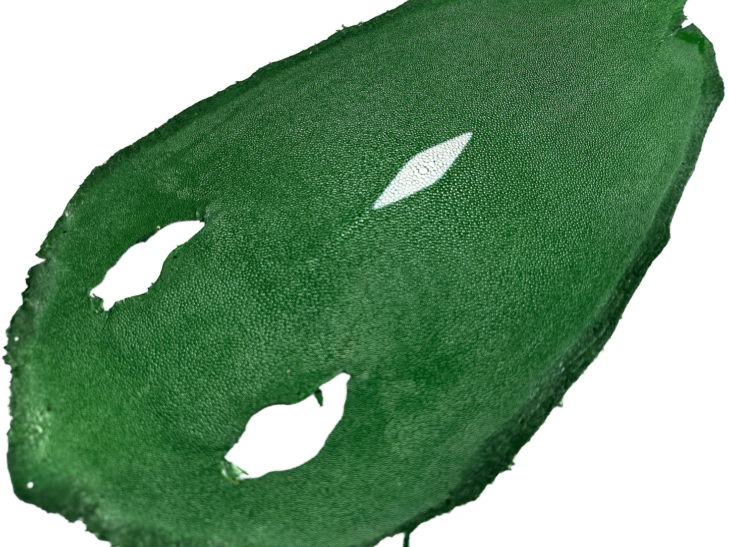 Stingray leather 9inch #11 Green
