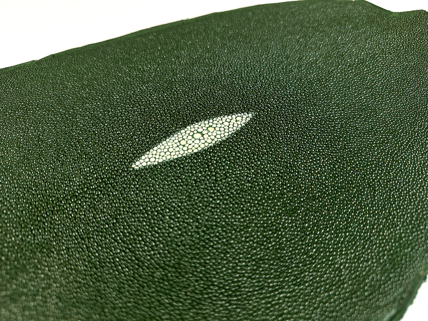 Stingray leather 9inch #12 Khaki