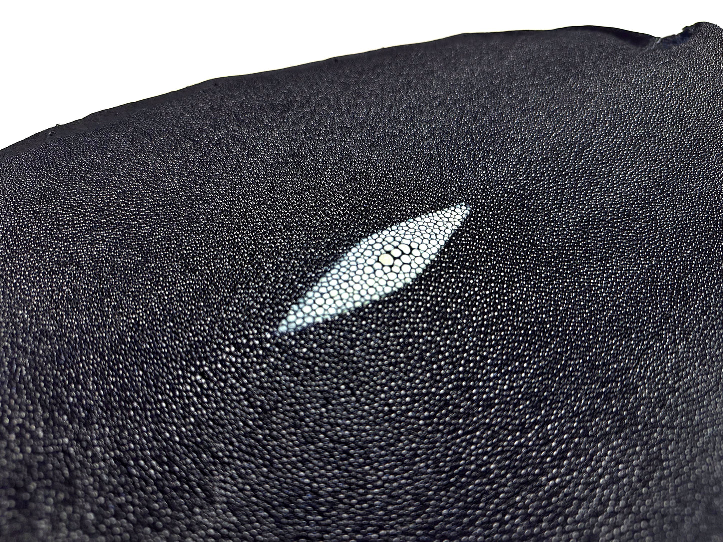 Stingray leather 9inch #14 Navy