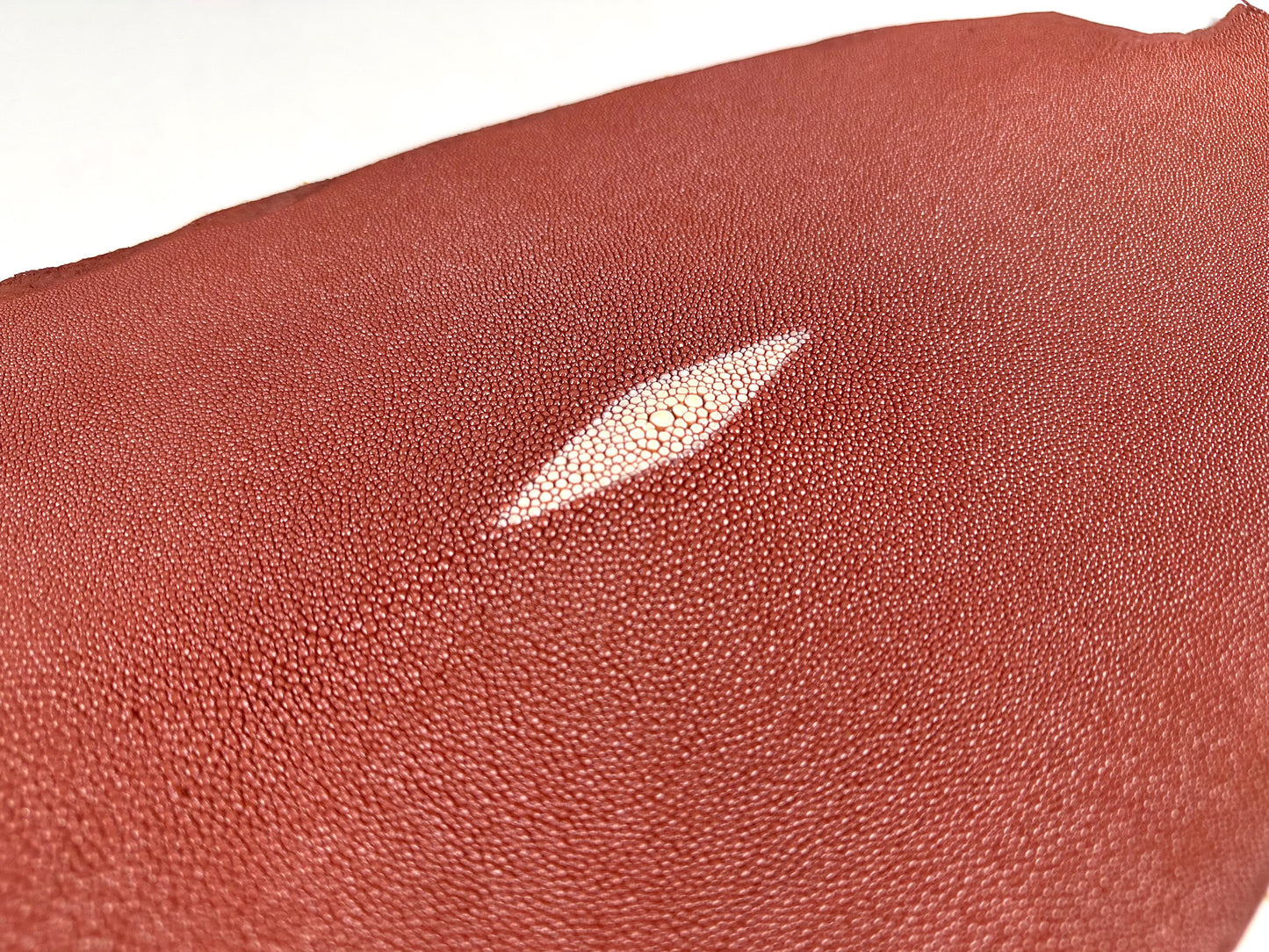 Stingray leather 9inch #1 Brown