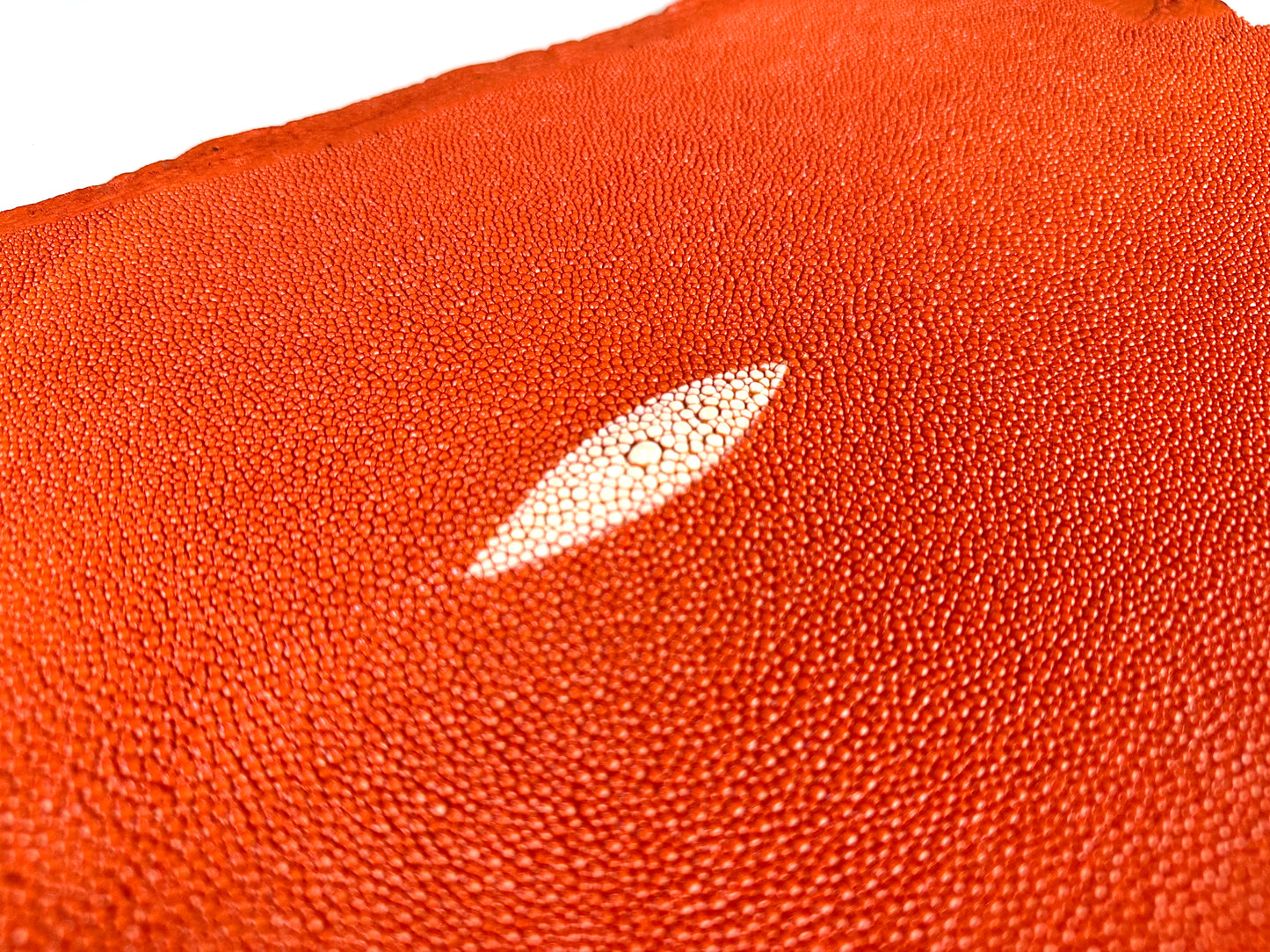 Stingray leather 9inch #3 Orange