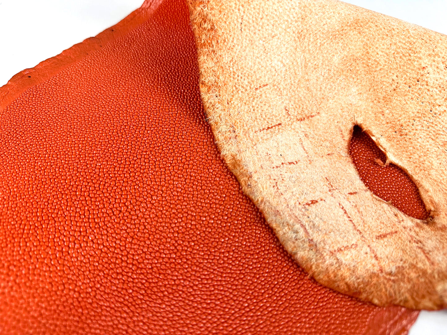 Stingray leather 9inch #3 Orange