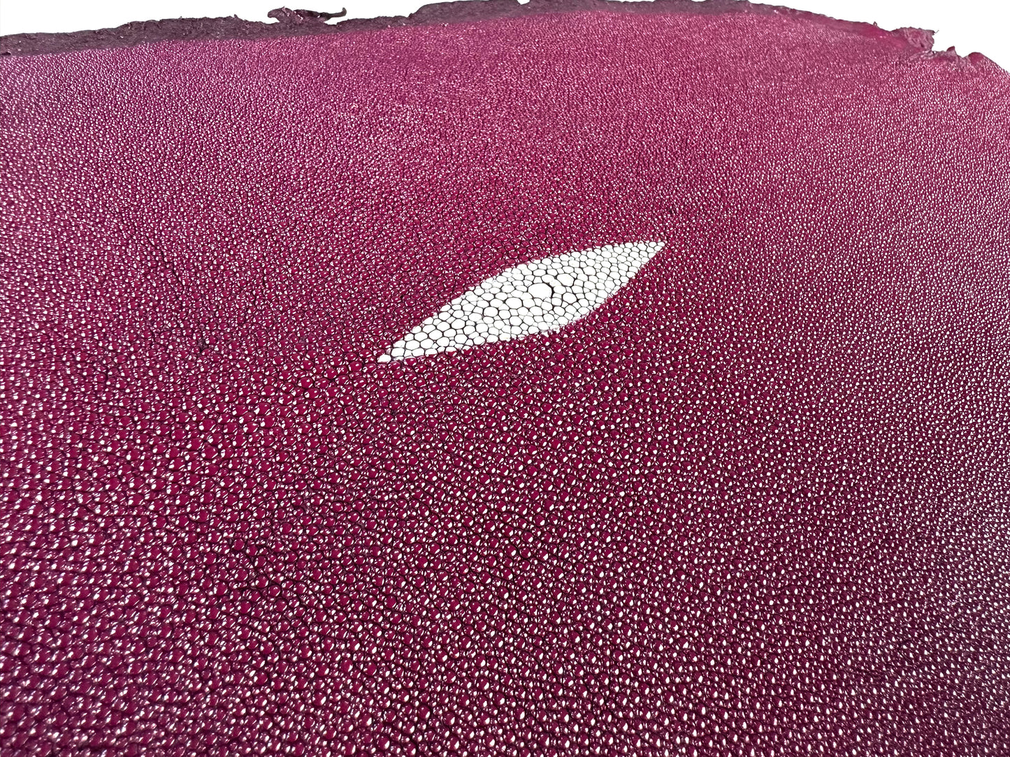 Stingray leather 9inch #8 Purple