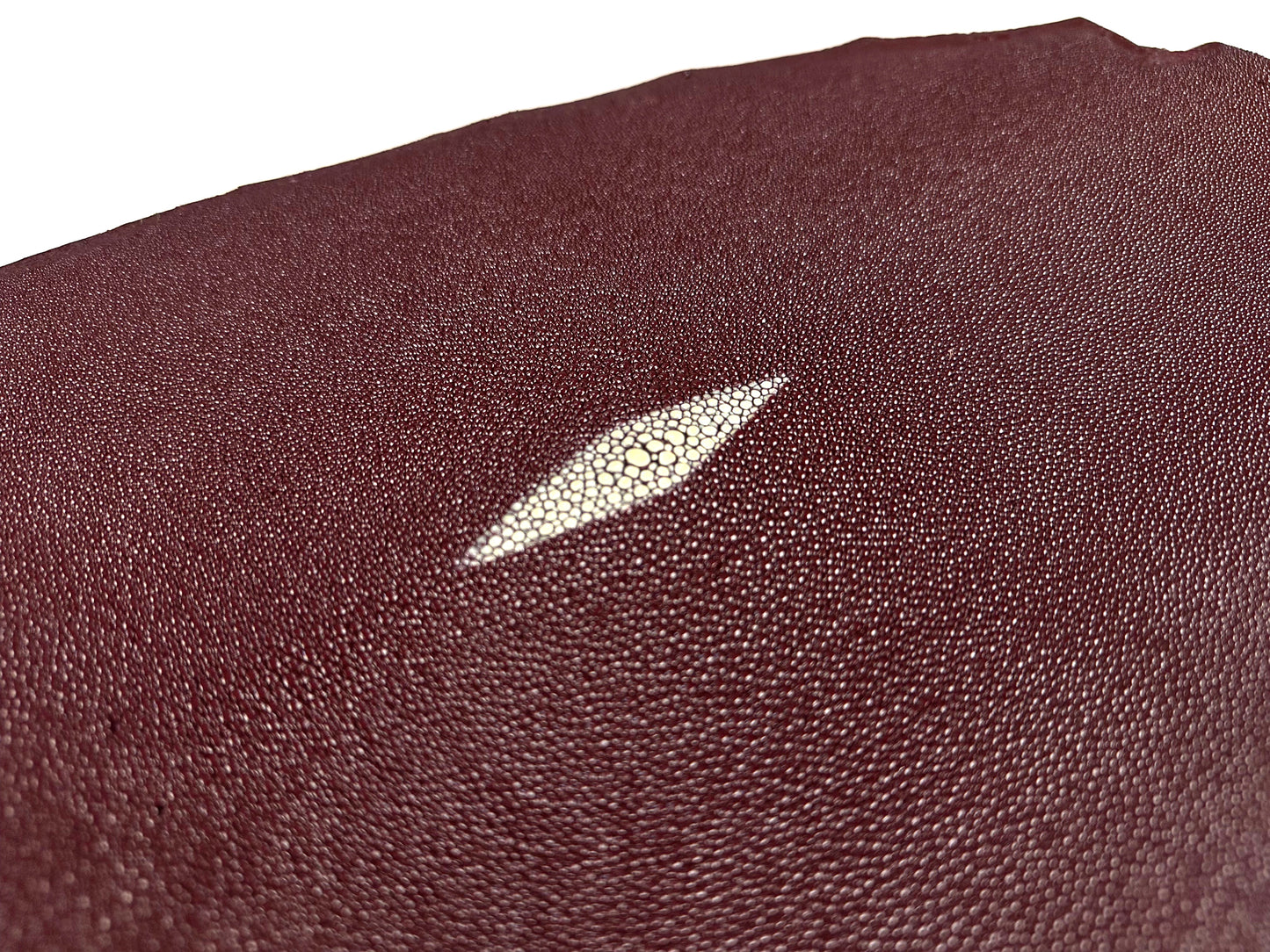Stingray leather 9inch #9 Wine