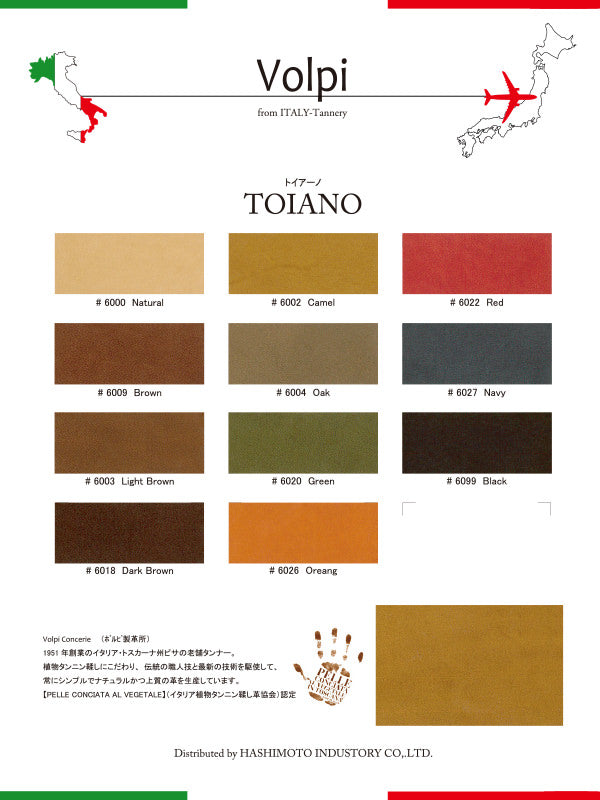 トイアーノ カタログ