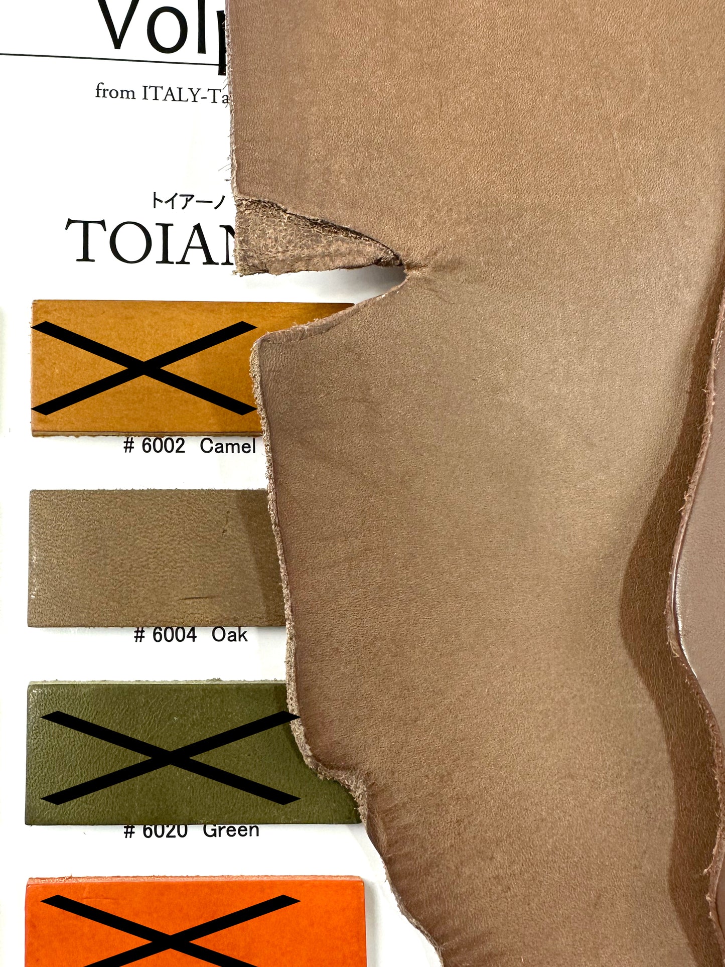 トイアーノ カタログ