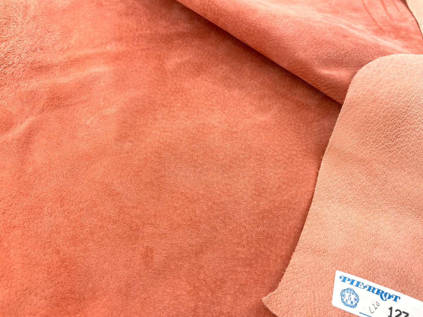 豚スエード C20 オレンジ Pig Suede Orange
