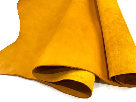 Oil Dakota #16 Yellow