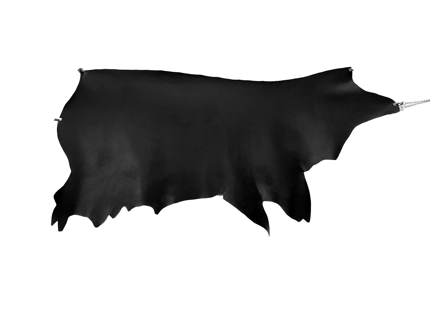 オイルダコタ #1 黒 Oil Dakota