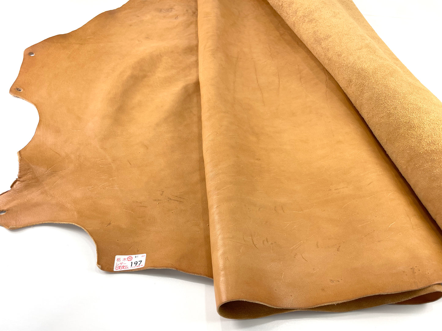 W kogashi #01 Beige