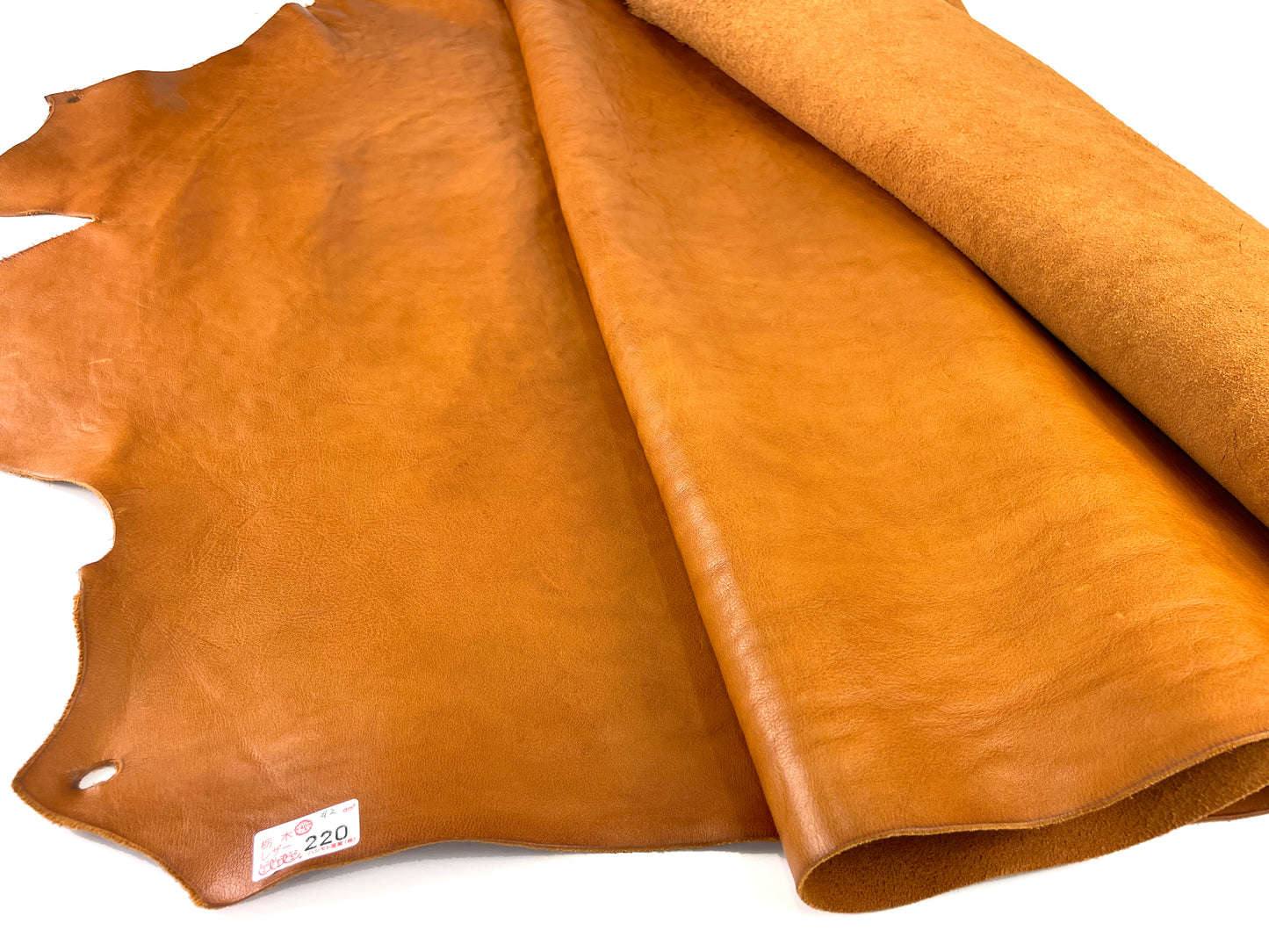 W kogashi #02 Camel